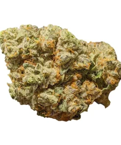 11 Week Pink indica cannabis flower