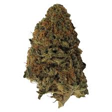 Kush Dreams Indica