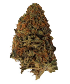 Kush Dreams buds