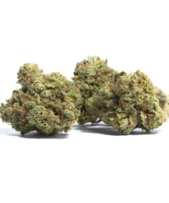 Mango Haze CBD flower