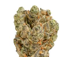 Peach Tree Sativa Flower