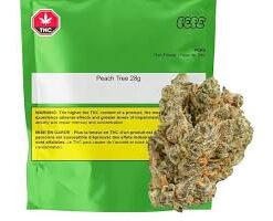 Peach Tree Sativa Flower