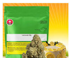 Lemonatti sativa cannabis flower