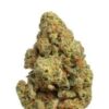 Lemonatti sativa cannabis flower