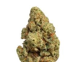 Lemonatti sativa cannabis flower