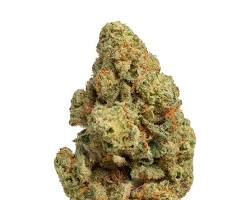 Lemonatti sativa cannabis flower