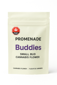 small bud cannabis flower