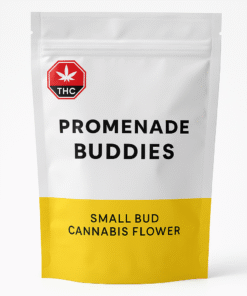 small bud cannabis flower