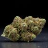 small bud cannabis flower