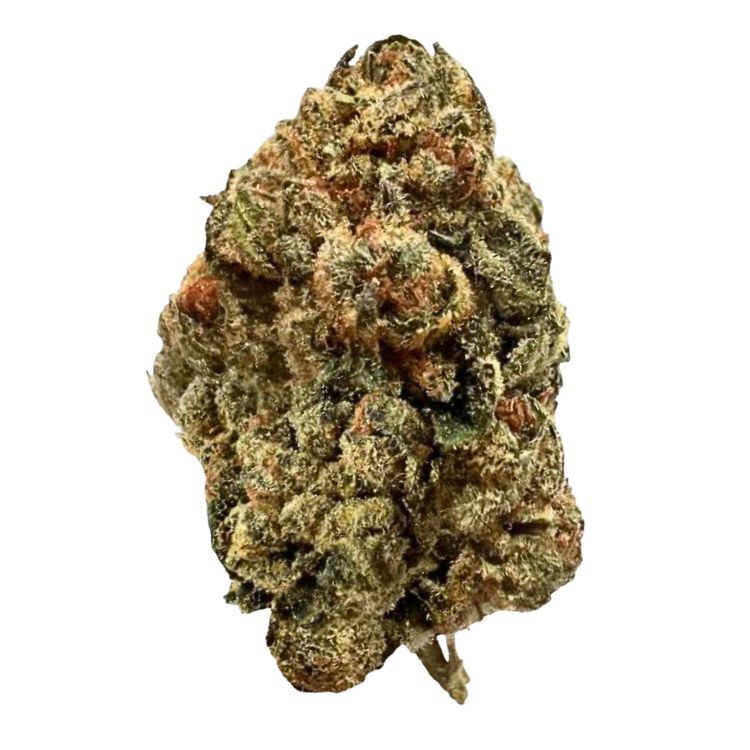 Sweet Island Skunk sativa