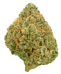 Sweet Island Skunk sativa flower